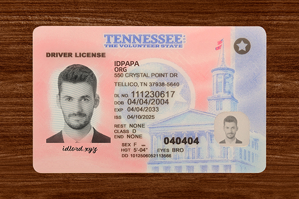 Tennessee Driver’s Licence  (2025 Version)